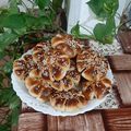 کوک اسنپ Pary بعد از امتحان کردن کلوچه خرمایی.