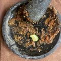 Cooksnap dari Derry Tiffany untuk resep Sambal terasi jeruk limo