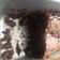 El cooksnap de anadpg cuando hizo Brownie de chocolate🍫.