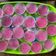 Cooksnap dari Revina Glady untuk resep 125. Watermelon Jelly Cup (Puding Semangka)