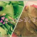 صورة من ولا بالأحلام..💞، شاركها بعد تجربة وصفة ورق عنب ب النسكافيه