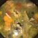 Cooksnap dari Okeu Cahyani untuk resep Sayur sop