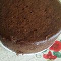 El cooksnap de Carina80🍰 cuando hizo Torta de chocolate al micro.