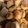 Gyöngyvér Széles GooglePlus1 Cooksnap-ja, amikor elkészítette a(z) Élesztős krumplis pogácsa (nagyiféle) receptet.