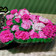 Cooksnap dari Reny kitchen untuk resep Flower hatbox cake with buttercream