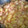 El cooksnap de Marijo Figal cuando hizo Bacalao con tomate.