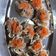 Cooksnap dari Rina Hong untuk resep Pork Siomay