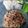 Cooksnap dari ika madayanti untuk resep Bihun Goreng Jawa