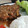 Cooksnap dari Lieta untuk resep Chicken chop malaysia
