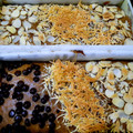 Cooksnap dari Dapur BundaRN untuk resep Bolu Pisang Panggang Tanpa SP, Banana Cake lembut