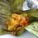 Cooksnap dari Rizka Fadhilatin untuk resep Pepes Pindang Salem