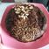Cooksnap dari Yeyennya Dedy LimLie untuk resep Brownies panggang|Tips membuat Shiny Crust Brownies