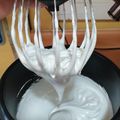 El cooksnap de Marisol Melgarejo cuando hizo Merengue Suizo 🇨🇭.