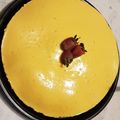 El cooksnap de Lrc Bren cuando hizo Pay de mango frío.