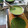 El cooksnap de Adriana Loyarte cuando hizo Panqueques de acelga 🥬.