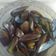 Cooksnap dari Anna Rasya untuk resep Kerang hijau rebus