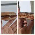 El cooksnap de Meli🤗 cuando hizo Alfajores marplatenses.
