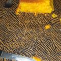 El cooksnap de María de los Angeles cuando hizo Budín de limón rápido y económico.