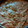 El cooksnap de Guillermo Machorro cuando hizo Fajitas de pollo con "Spaghetti" De calabaza.
