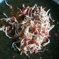 Cooksnap dari indah murni untuk resep Sambel Taoge Mertua