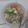 Cooksnap dari ive untuk resep Kalguksu 🍜🔪 (칼국수)