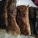 Cooksnap dari Suci Erfianti untuk resep Pisang Coklat (piscok)