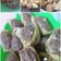Cooksnap dari Sri Maulida Yansyah untuk resep Tahu Bakso