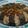 Cooksnap dari The Mei Lien untuk resep Steam terong