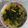 Cooksnap dari dapoer.tomylovely untuk resep Sayur Santan Daun Singkong