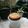 Cooksnap dari yp tommy untuk resep Bolu tape ketan putih