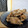Cooksnap dari arie dewi untuk resep Ayam goreng ala Tasyi (Chicken buttermilk)