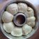 Cooksnap dari Pawon Mbak Ima untuk resep Roti Sobek Cokelat Kukus