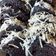 Cooksnap dari Dyeani untuk resep Bolu gulung ketan hitam ekonomis