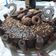 Cooksnap de Ana Albino quando cozinhou Bolo de aniversário "Explosão de chocolate".