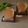 Jasmin Motta _ #BeingMotta's cooksnap of when they made Traditional Indian Medicine or Kadha.