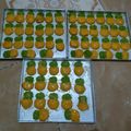 Cooksnap dari Anggie Libra16 untuk resep Nastar lumer premium