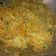 Cooksnap dari Annisa Wahdini untuk resep Bihun goreng putih (bisa untuk isian pastel/risol dkk)