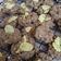 Cooksnap dari Nata Sofia untuk resep Rolled Oat Cookies (Gluten Free)