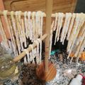 El cooksnap de yessyapacheco cuando hizo Tallarines de calabaza con queso crema, verdeo y jamón cocido.
