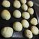 El cooksnap de Mel Riquelme cuando hizo Pancitos saborizados súper esponjosos.