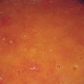 صورة من آلَآء آحًمًدٍ🍩🍜، شاركها بعد تجربة وصفة بندورة مقلية