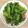 棠棠 的 蠔油芥菜 cooksnap