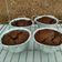 Cooksnap dari Arini DM untuk resep Brownies Panggang Gampang