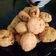 Cooksnap dari aryanti untuk resep Tahu Telur Goreng