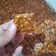 Cooksnap dari shofia mulfah untuk resep Noga Kacang