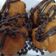Cooksnap Norulhasni Mohd Zaini semasa beliau membuat Bebola donat.