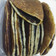 Cooksnap dari eshal.id untuk resep Pancake Tanpa Telur