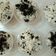 Cooksnap dari Renny Widiyanti untuk resep Oreo cream cheese NO BAKE