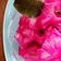 Сooksnap від Anna healthy food 🕊️ , який(а) приготував(ла) Капуста "Пелюстка".