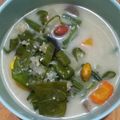 Cooksnap dari Emilia Jahja untuk resep Sayur Lodeh Sunda